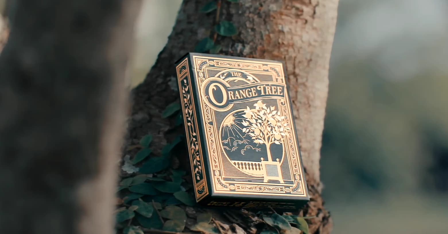 Orange Tree